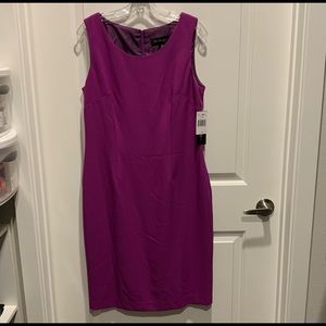 NWT DN design raspberry dress, size 12